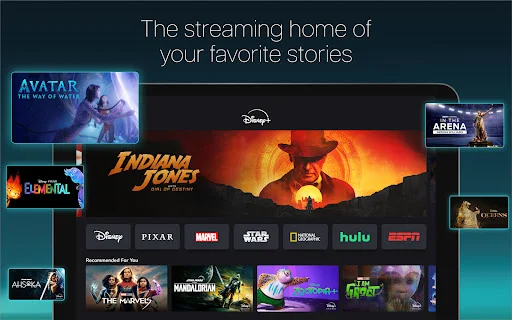 Disney+ ডাউনলোড করুন – আপনার প্রিয় সিনেমা ও সিরিজ দেখুন - Screenshot 5